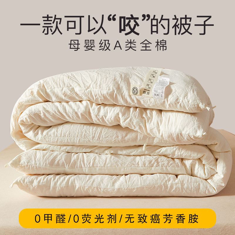 Export Class a Waffle Soy Fiber Quilt Winter Thickened Warm Spring and Autumn Cotton Quilt Air Conditioning Summer Cooling Core