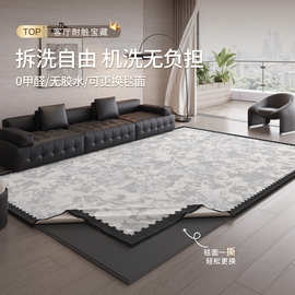 可拆洗地毯客厅轻奢高级感可擦灰色卧室地垫家用防水防污沙发地垫