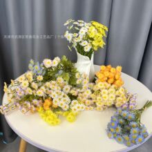 ������ʾ�С�r�շ��滨���յ��߼Ҿ�����[���b[�O�Ҿ��b��