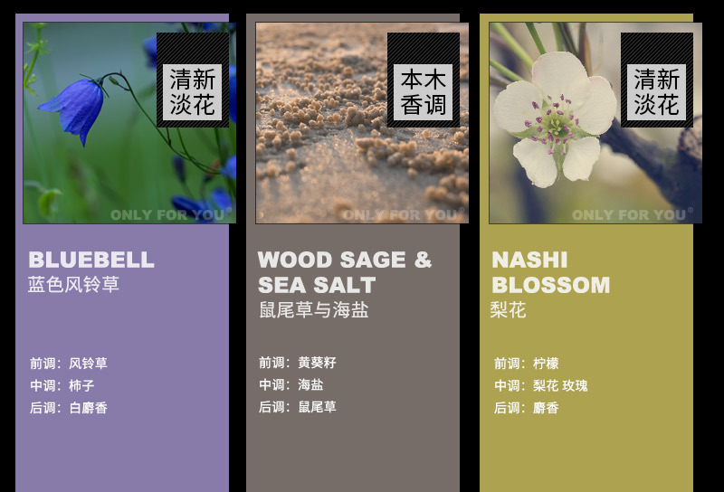 香味描述-竖长_04.jpg