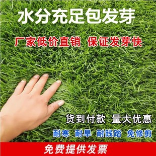 ��ƺ�N�Ӱ����ļ���첥�ݶ�����������β���ѹ��X�ݹ������ݷN��