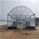 供应单体插地棚简易薄膜大棚蘑菇棚建造椭圆管养殖棚羊舍牛舍厂家