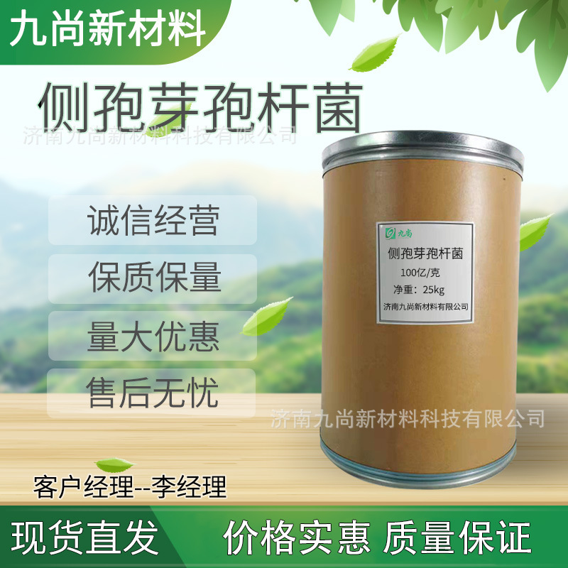 厂家批发侧孢芽孢杆菌减轻病虫害改良土壤100亿每克 侧孢芽孢杆菌
