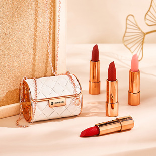 Han Beier Luxury Pet Chain Leather Bag Lipstick Set Box Waterproof Moisturizing Bag Lipstick Not Fading Four Pack Set Box