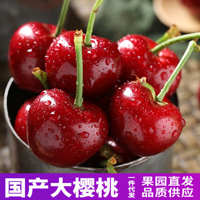 【顺丰空运】国产车厘子美早大樱桃新鲜水果应季现货整箱批发