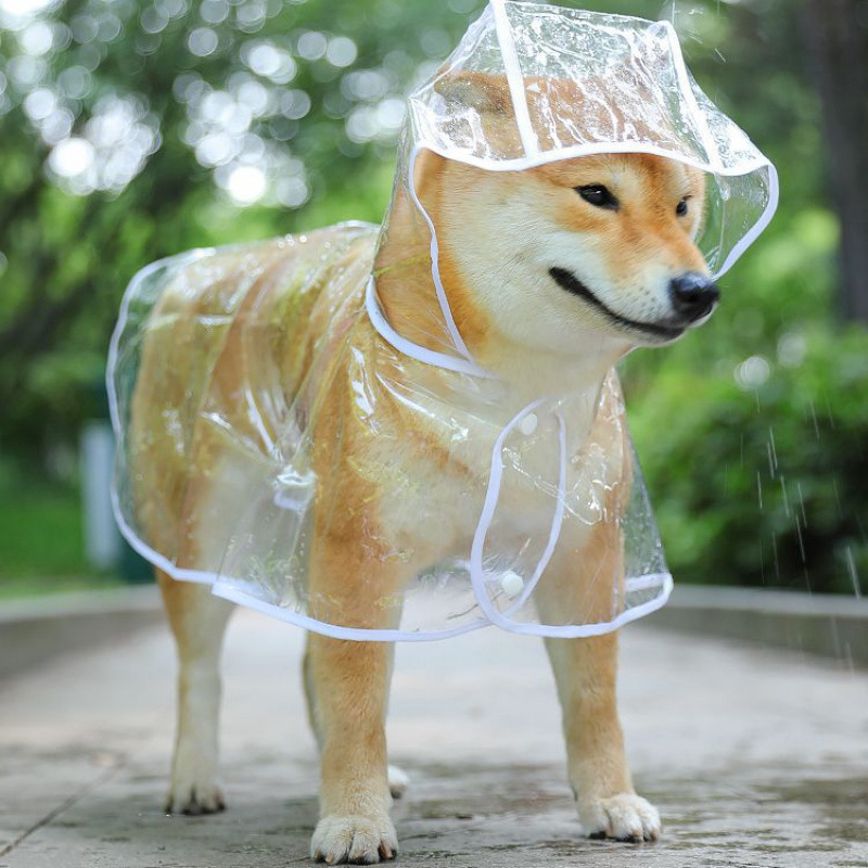 Transparent Puppy Raincoat for Large and Medium-Sized Dogs Samoyed Teddy Bichon Golden Retriever Cat Clothes Pet Supplies