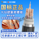 国标纯铜铠装YJV电缆线3/4/5芯4/6/10平方电线户外开关插排电源线