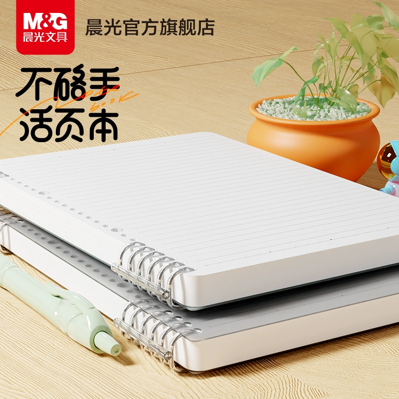 Утренний свет B5 петли для страниц