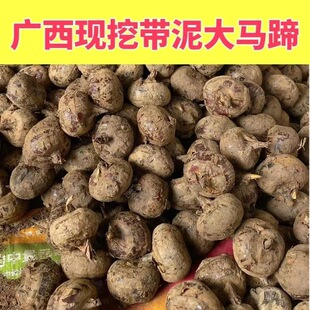 ����ë�R�������������R���r���֭�a�س���������ü�����˹̹