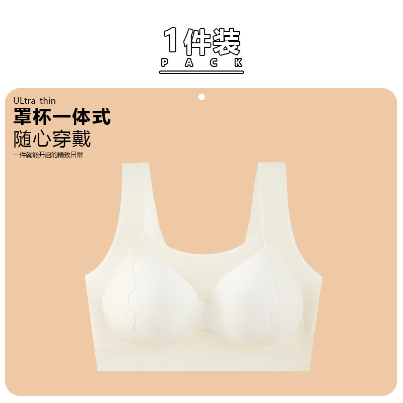샴페인 화이트