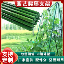 植物爬藤杆葡萄架丝瓜管黄瓜豆角架百香果家用暖棚爬藤杆包塑钢管