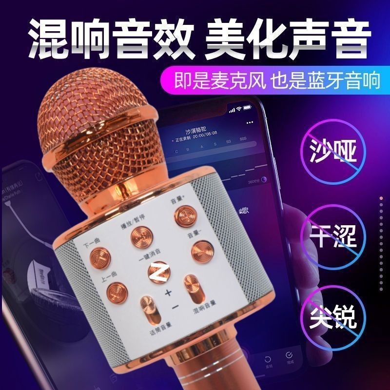 Magic Home Wireless Bluetooth Singing Microphone Home Audio Integrated Microphone Children's Mobile Phone National Ktv