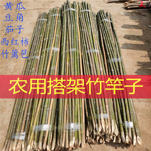 �����ٻh�����t�����Ӳˈ@�����N�ļ�����ʹ��S���r���������ӽ�