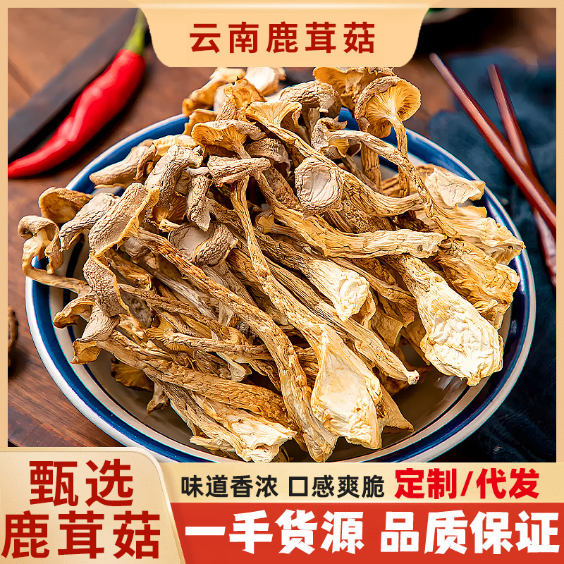 鹿茸菇食用菌幹貨鹿茸菇批發零售食用菌鹿茸菌幹貨250g