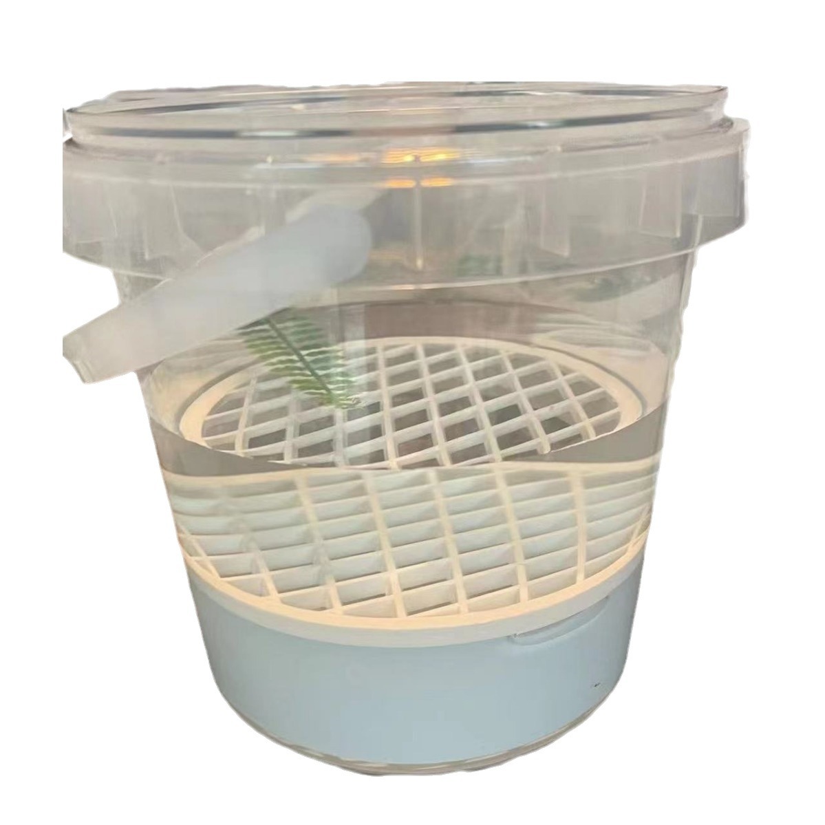 Caja de aislamiento de tortuga caja de alimentación huevo tortuga plántula Caja de aislamiento de plántulas tortuga solo cuidado del cabello caja de color anti-Bite Fight blanco caja transparente