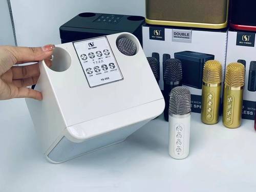 YS-203 all-in-one outdoor family party set karaoke double microphone artifact wireless microphone Bluetooth audio