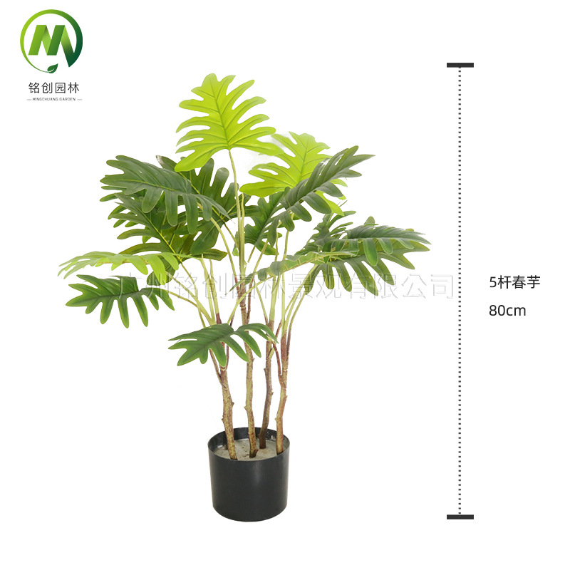Paisaje interior del suelo, planta pequeña de hoja grande, planta pequeña, planta de taro de hadas, 60cm, planta verde de simulación de monstera, planta pequeña en maceta image 4
