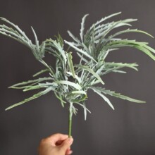 ����ֲ���~�Ĳݰ������~����ݾ���؛Դ�Ҿӻ�c�}�Q�廨��Ĳ�