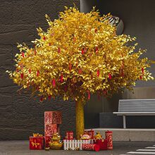 �h��������Ř�W�t�S���ͼ٘�lؔ������t�����̈��Ƶ��b�