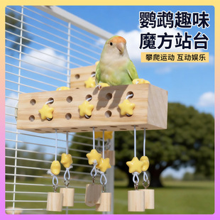 �W�^�Bվ�U��ħ����ҧĥ���B�����b��쾰���վ����ߌ���