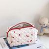 Brand pencil case, capacious fresh cosmetic bag, handheld storage system for elementary school students