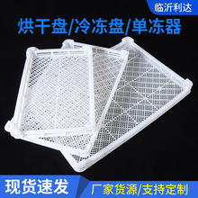厂家批发烘干盘食品冷库速冻框蔬菜晾晒烘干托盘冷冻盘塑料单冻器