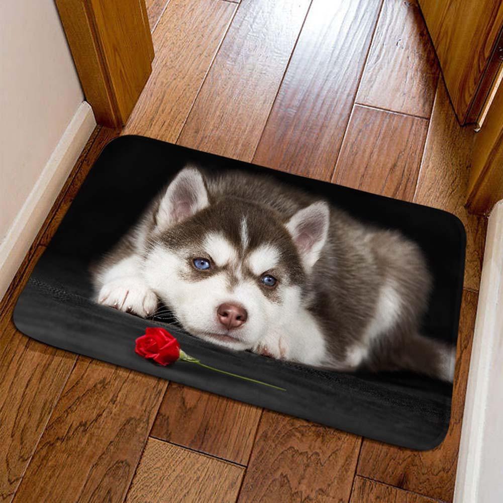 Cross-border cute pet cat decorative floor mat, bathroom absorbent skin-friendly foot mat, easy to maintain, entryway entrance mat, available for dropshipping