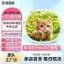 英语陪练源头智能陪练机