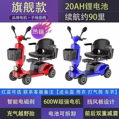 Two-Person Travel – Qatlanan elektrik velosipedlər - flagship-600w-lithium-battery-with-20ah-battery-life-and-45-kilometers-range