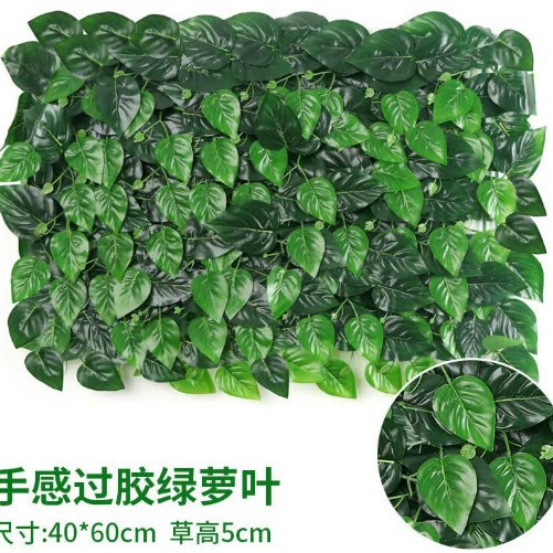 Feel the glued green radish leaves