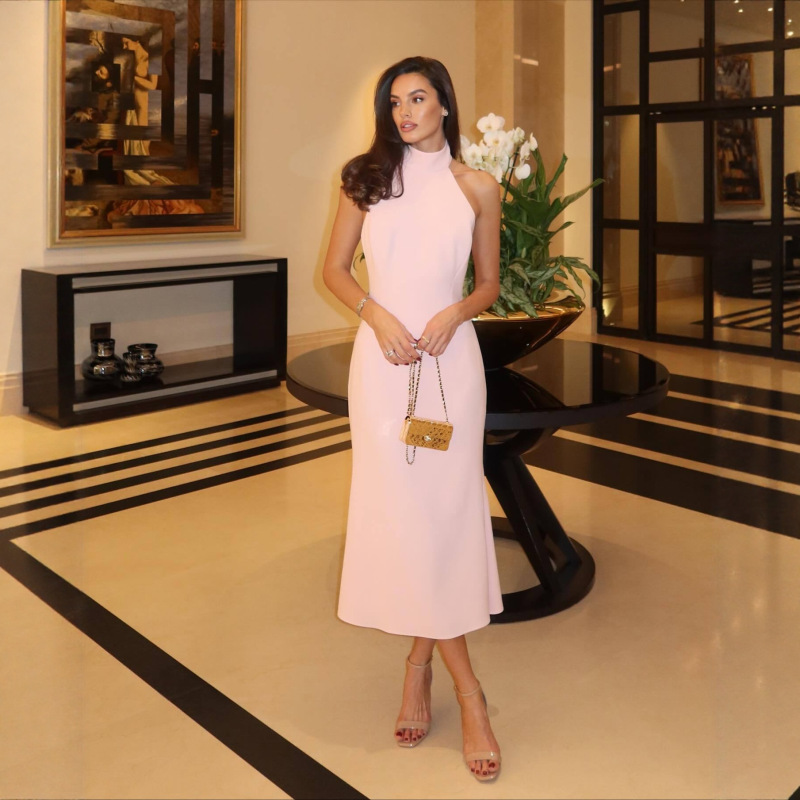 Amazon Cross-Border Best-Selling Long Dress Solid Color Sleeveless Halterneck Backless Temperament Light Luxury High-End Sexy Dress