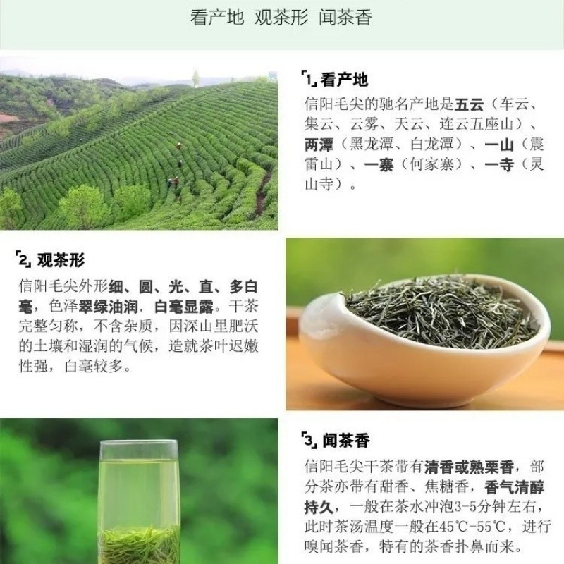 新茶绿茶毛尖信阳高山茶叶高档礼盒装嫩叶茶耐泡好喝信阳本地发货|undefined