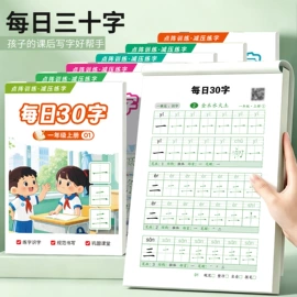 其他益智玩具;玩具挂图;早教闪卡