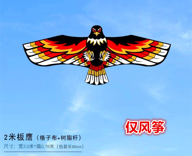 新款老鹰风筝外贸亚马逊专供跨境提线板鹰风筝爆款速卖通成人好飞|undefined
