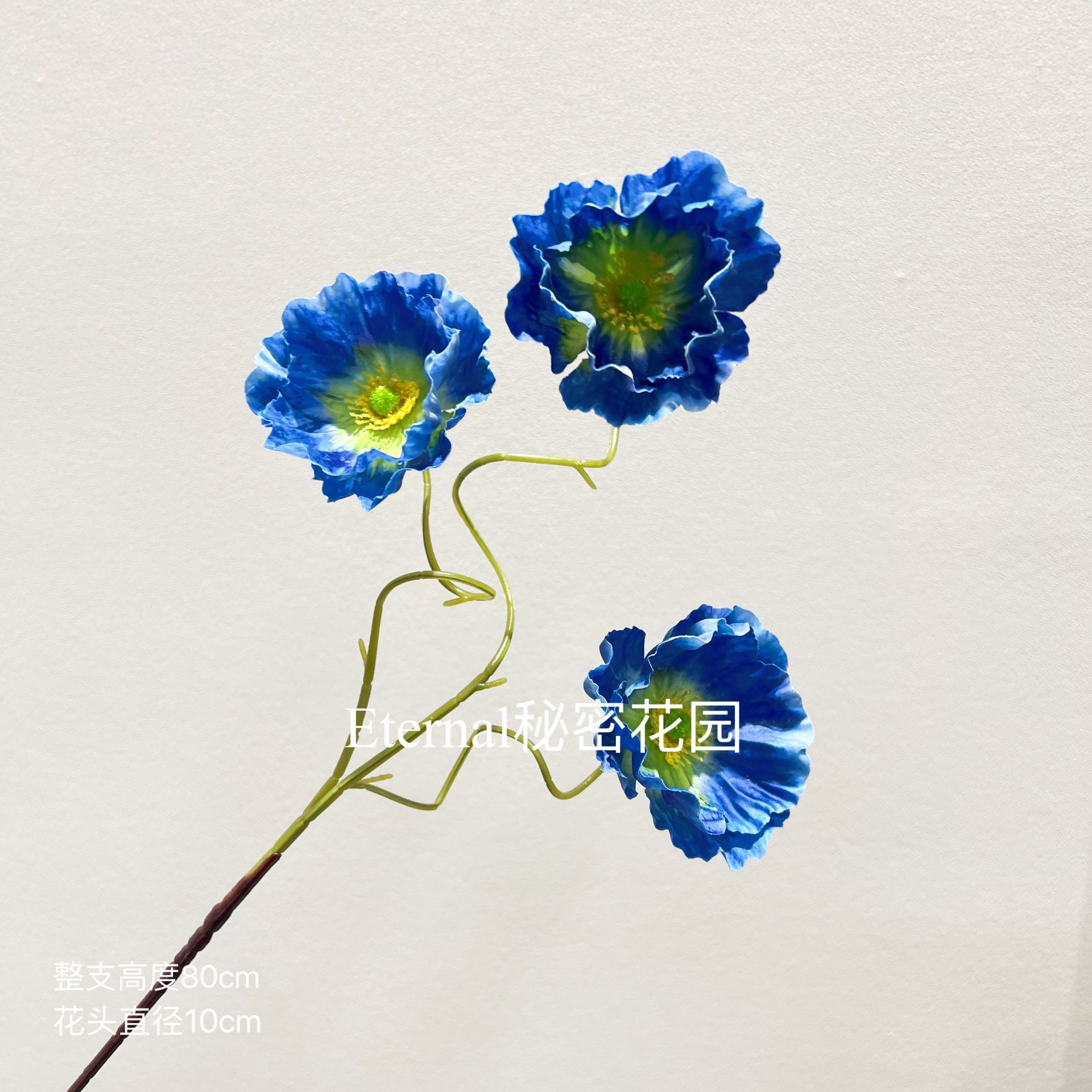 양귀비 진한 파란색