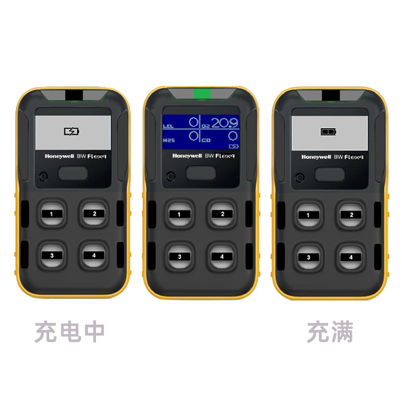 BW Flex4系列 便携式无线四气体检测仪其他