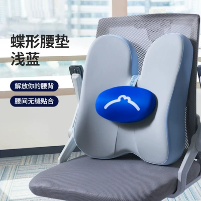 Sedentary Chair, Waist support - light-blue-new-color-butterfly-waist-pad-regular