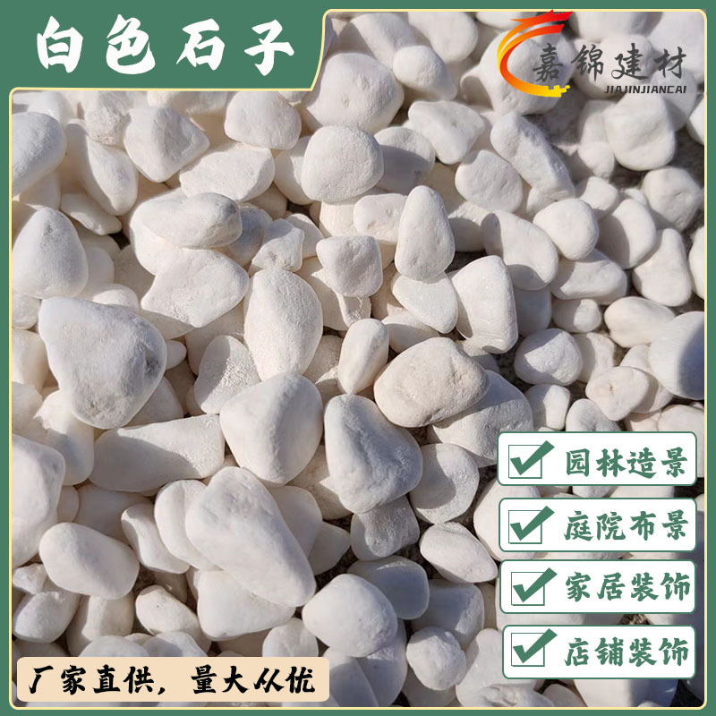 供应白色石子 园林造景用白色鹅卵石 铺路用白色砾石 白色碎石