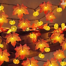 LED~Ϲf}ʟϵУ7maple leaves lights