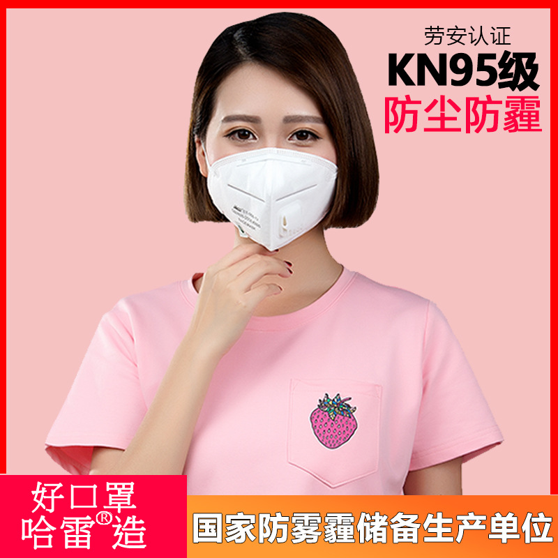 哈雷ST008防尘口罩KN95透气夏呼吸阀防工业粉尘防飞沫防雾霾男女