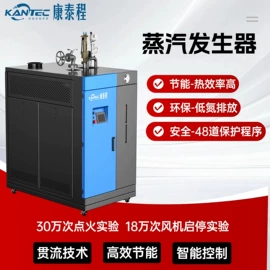 蒸汽发生器;燃气锅炉