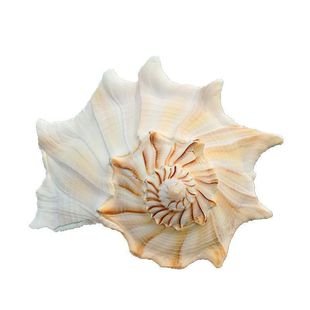 �����ݼ���Ȼؐ�����ݚ��~���쾰�b��к�diy�ղؔ[���ֹ��Y��