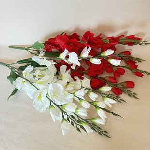 ��Y���m�����Ҿ��b��5�愦�m���������滨�г�Ʒ��c�û��羳��