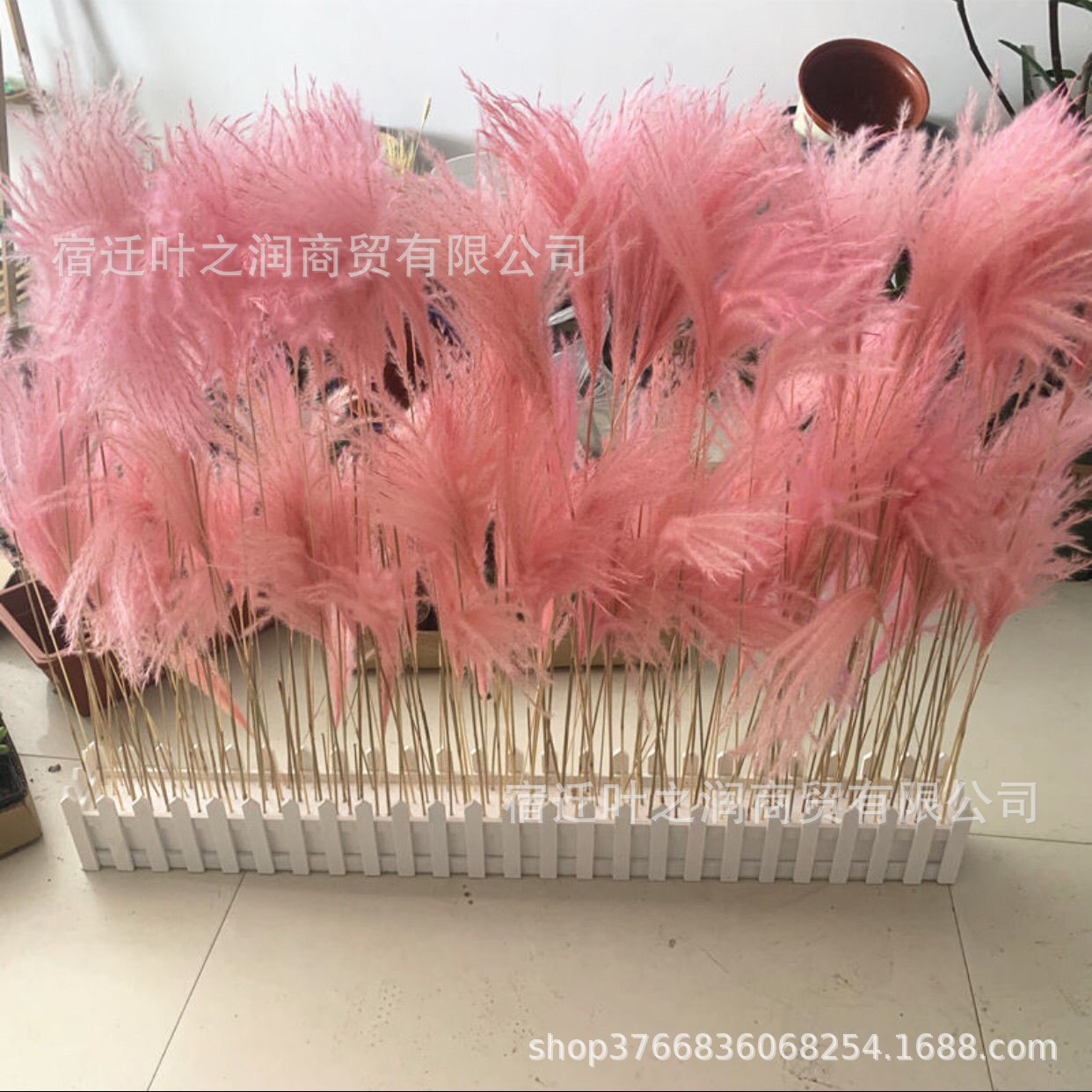 O1CN01F2TFdX1R01pYSRALG_!!3091