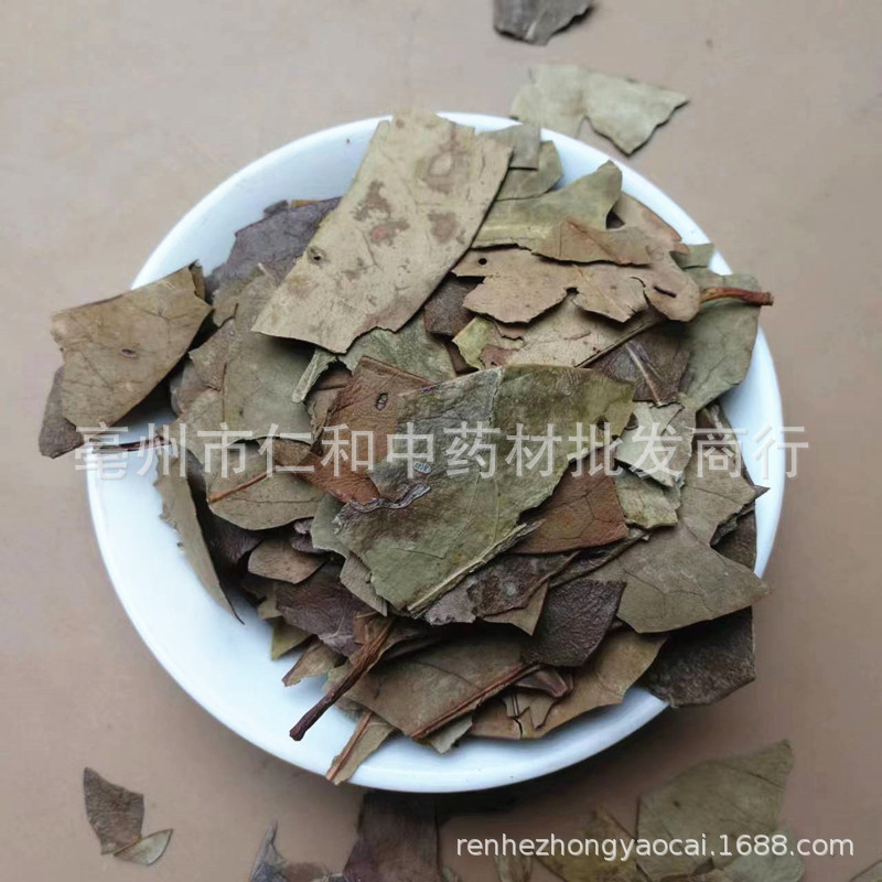 Dried Mao Dong Qing Leaf Ilex Pubescens 500g Traditional Chinese Herb for Decoction and Tea key features