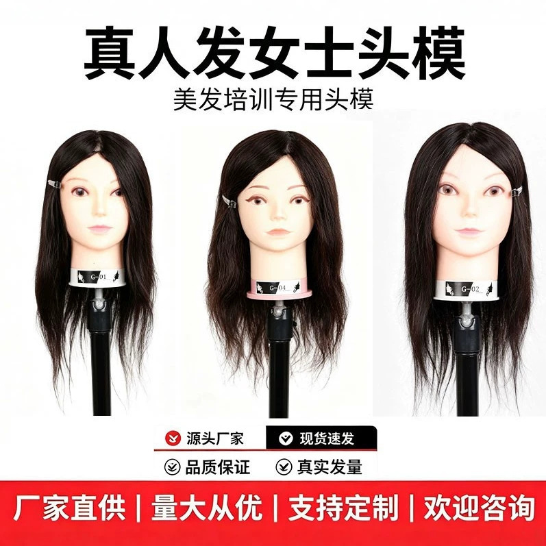 Human Hair Mixed with Synthetic Hair Mannequin Head for Practicing Hair Styling, Braiding, Updos, and Teaching Hairdressing Techniques; Suitable for Blow-Drying, Cutting, and Perming Human Hair Mixed with Synthetic Hair Mannequin Head for Practicing Hair Styling, Braiding, Updos, and Teaching Hairdressing Techniques; Suitable for Blow-Drying, Cutting, and Perming