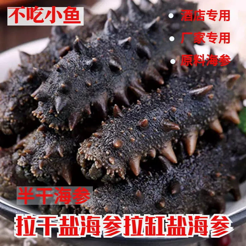酒店专用海参拉干盐海参拉缸盐海参半干海参淡干海参原料厂家海参