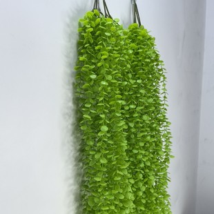 95CM �L�l�Gɫֲ���˹��ٽ��X�~�Ӵ���~Ƭ����ֲ��ڒ�Ҿ��b�