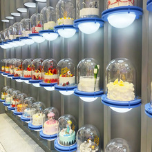 网红蛋糕模型展示罩玻璃星空球发光底橱窗亚克力蛋糕展示架