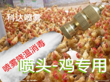 �B�u���^���F������������ �u���u���������؇��F���m�����ӝ���